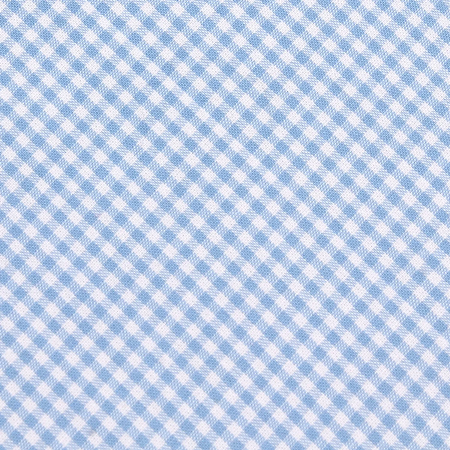 Light Blue Gingham Cotton Skinny Tie