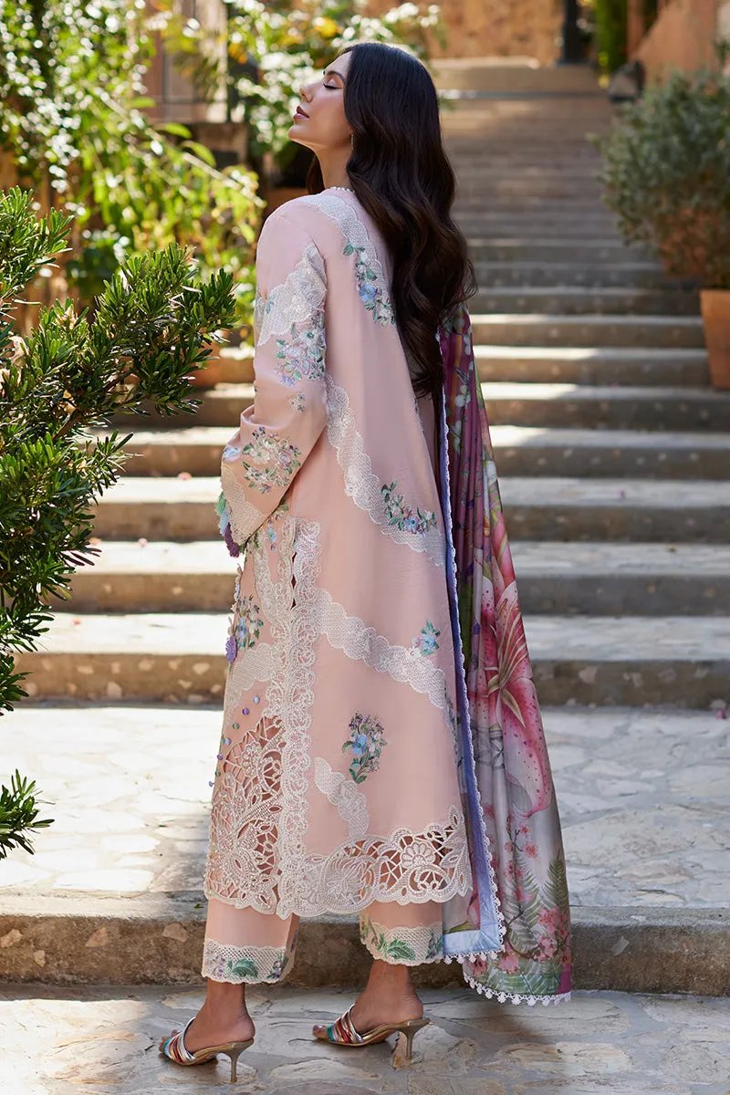 Mushq Te Amo Embroidered Lawn Unstitched 3Pc Suit MSL-2409 Italiano Intrigue