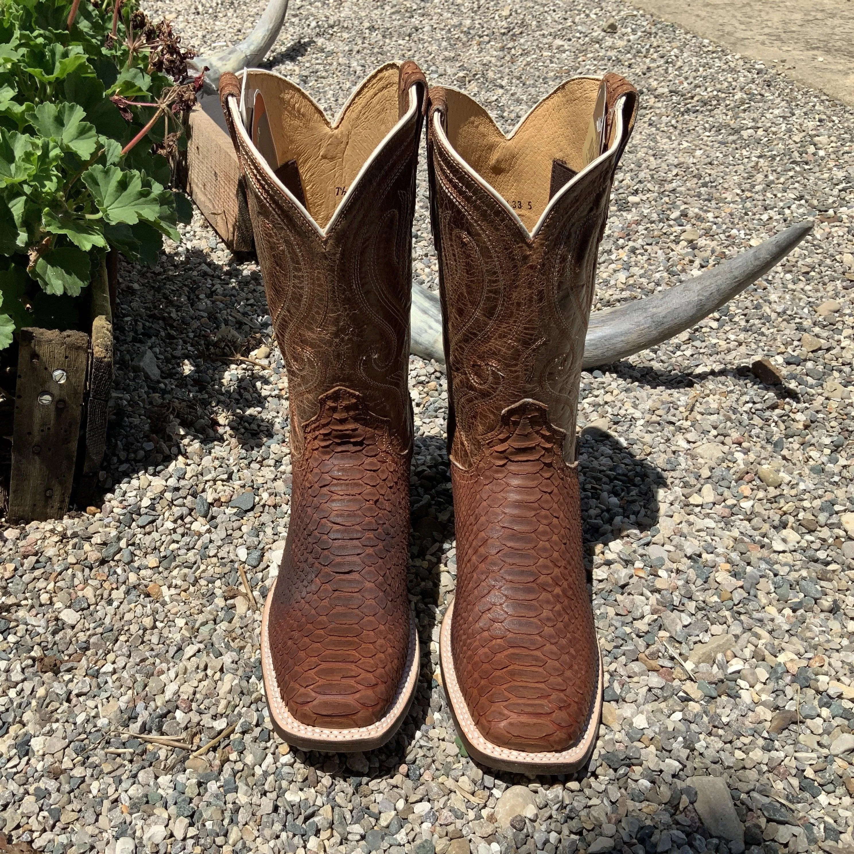 Roper Women's Cognac Brown Python Square Toe Cowgirl Boot 6510-8225