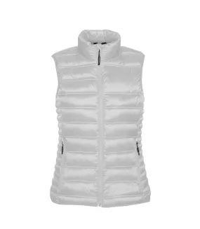 Stormtech Womens/Ladies Basecamp Thermal Quilted Gilet (Titanium) - UTRW5478