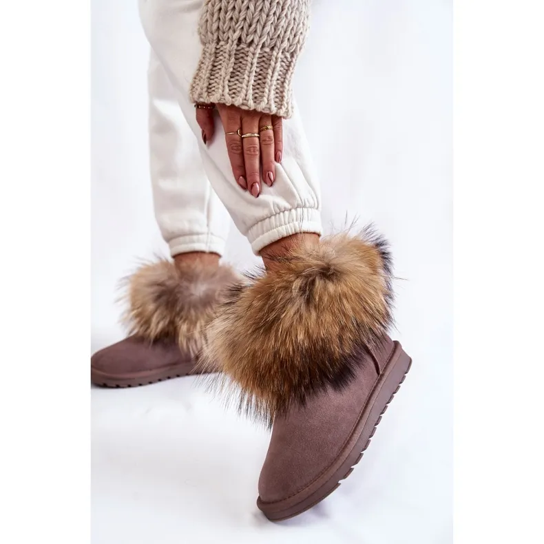 Women's Suede Snow Boots With Fur Gray Alexa beige