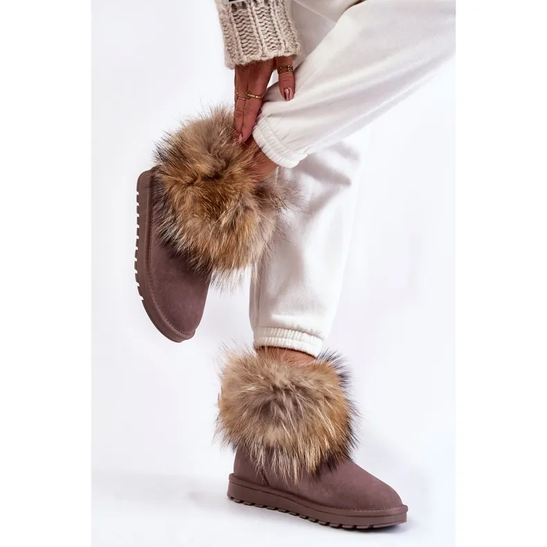 Women's Suede Snow Boots With Fur Gray Alexa beige